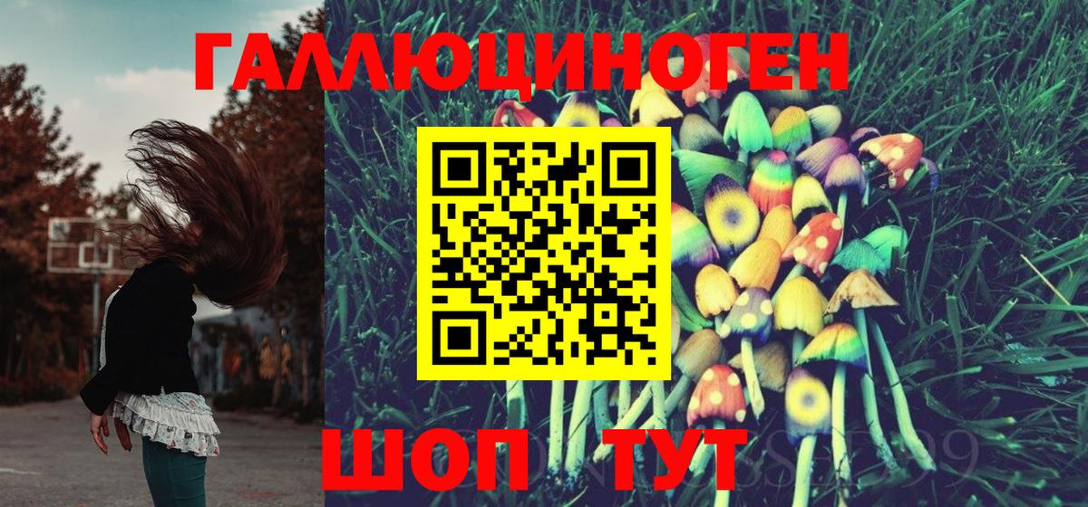 Псилоцибиновые грибы мухоморы  Псилоцибиновые грибы Psilocybe  наркота  Вход с VPN  Сергиев Посад 